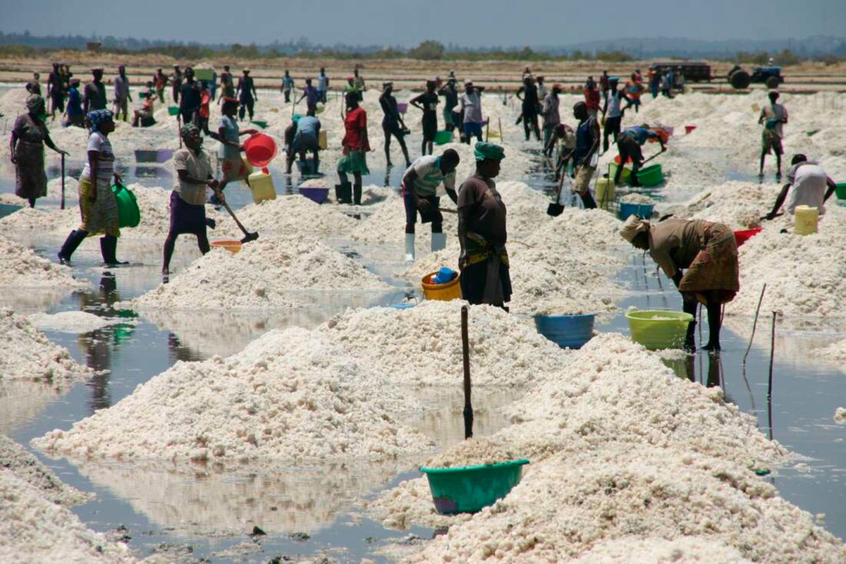 SuleimanMbaji's tweet photo. The Mining Act (2016) requires Community Development Agreements—yet weak enforcement denies Coastal communities their rights. #OurResourcesOurFuture
Mining Justice Kenya https://t.co/wD5VBnHo0w