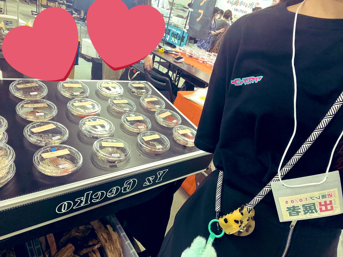 yuiyuiyui52's tweet image. 一旦設営完了しました✅✨

Tシャツの背面にQRあるんで読み込んでみてください😂😂(読み取り難易度高め←)

#近畿レプタイルズマーケット #近レプ #富田林 #ニシアフ #爬虫類 @kinkirep