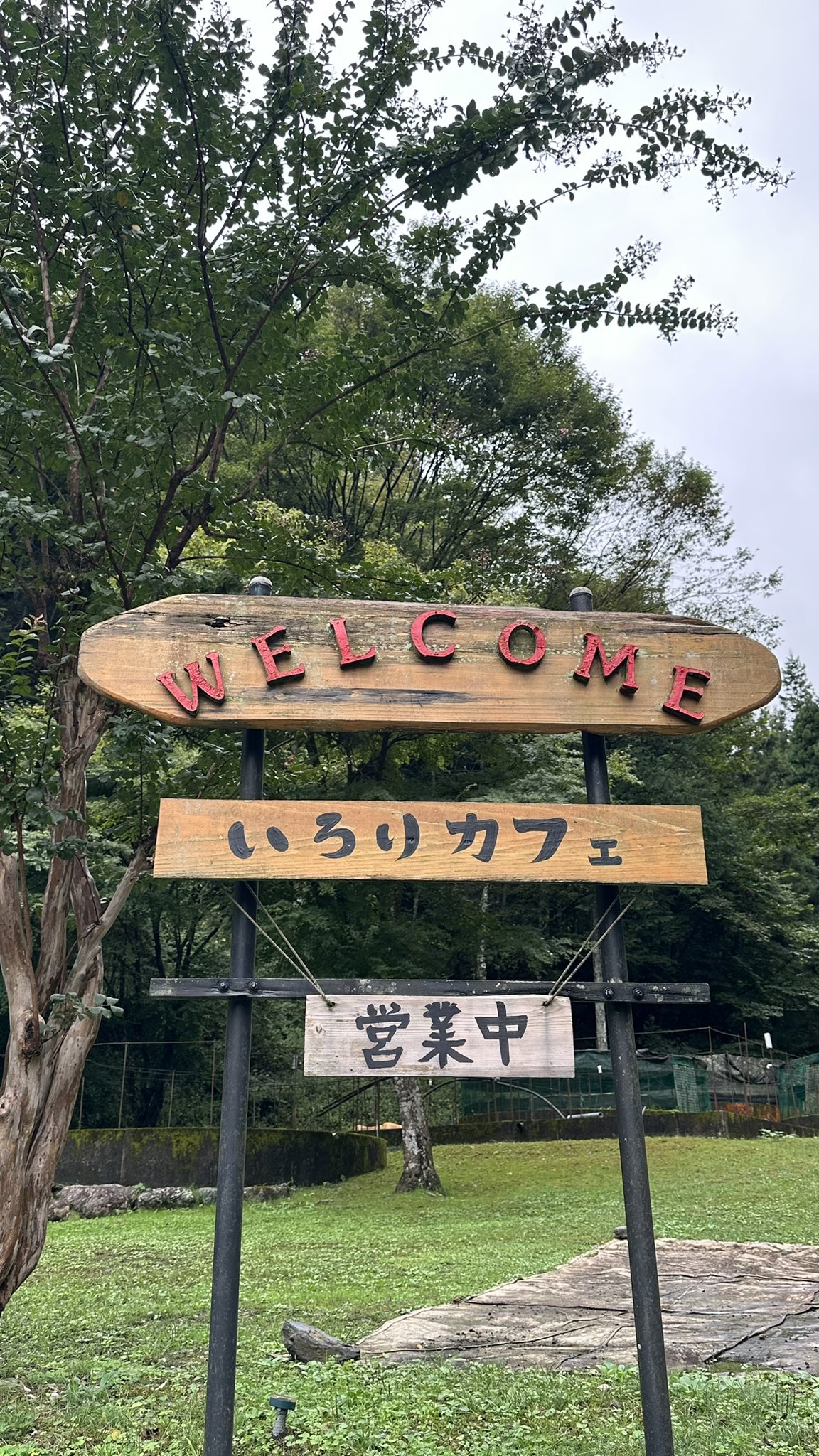 とらちゃんページ とらちゃん (@torachan675r1) / X