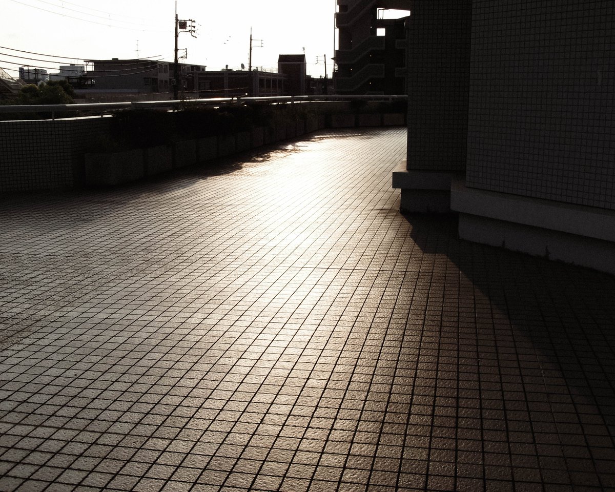 nagi_quiet's tweet image. どの場所から観察するか、少し変わるだけで見えるものの印象が変わるなあ。
#kodakpixpro #fz55