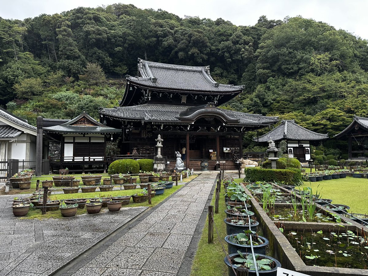 jjsanchako's tweet photo. 三室戸寺

 #フロサポ京都修学旅行 https://t.co/zKsEJVjytk