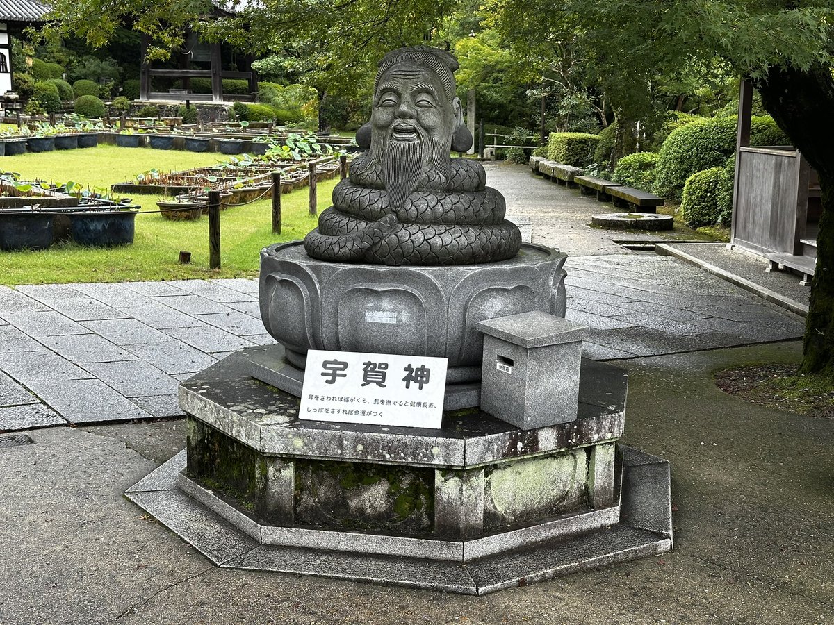 jjsanchako's tweet photo. 三室戸寺

 #フロサポ京都修学旅行 https://t.co/zKsEJVjytk