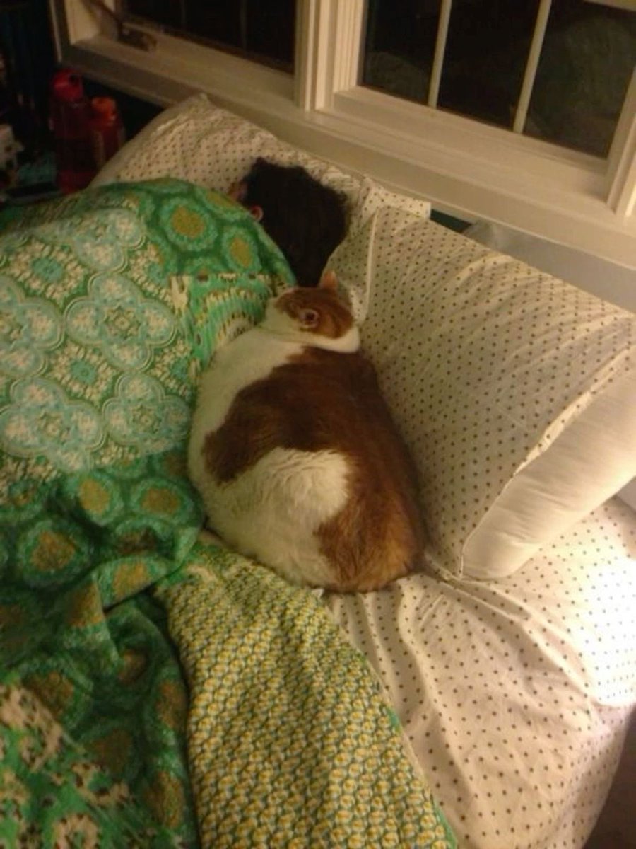 Sweet dreams potato🥰🧡