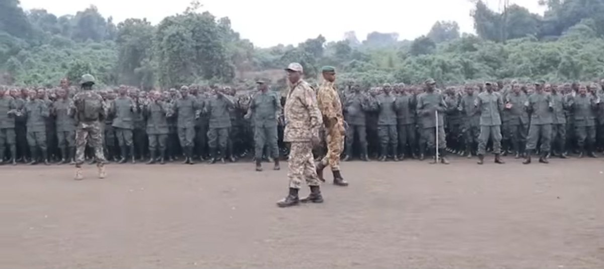 It's about to go down New lions fighters welcomed to save kivu citizens lives