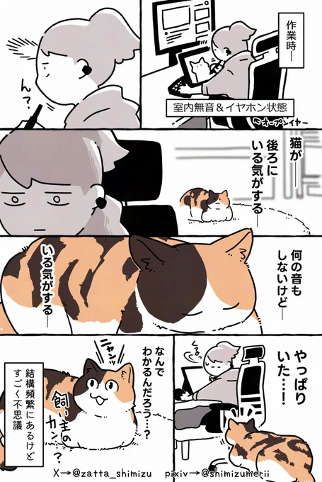 本日の実録ねこマンガです🥏
(これ描いてる時も静かに後ろにいました) 