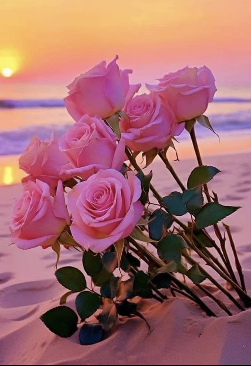 ♡ muniruh tweet media