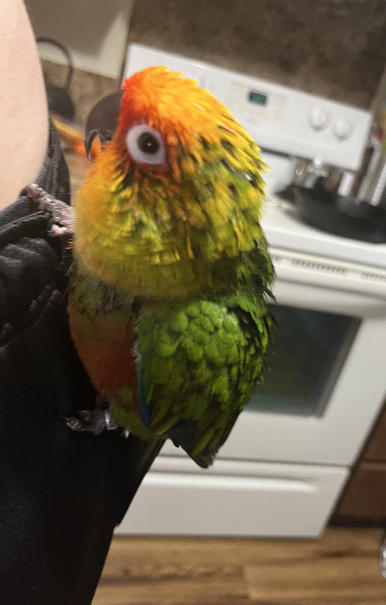 i keep that mf thang on me