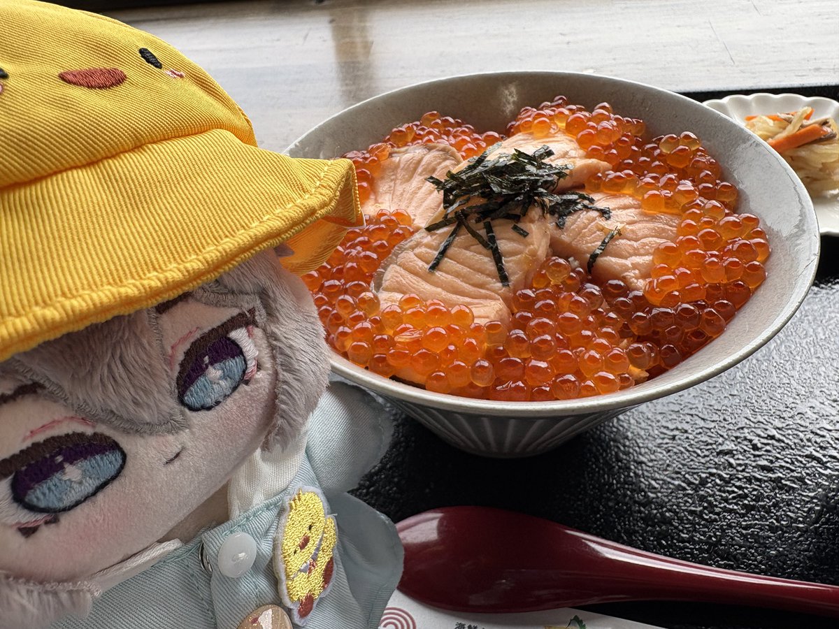 にねちとお昼ご飯食べに来たよ〜♡はらこ飯♡♡
#にーねとお出かけ