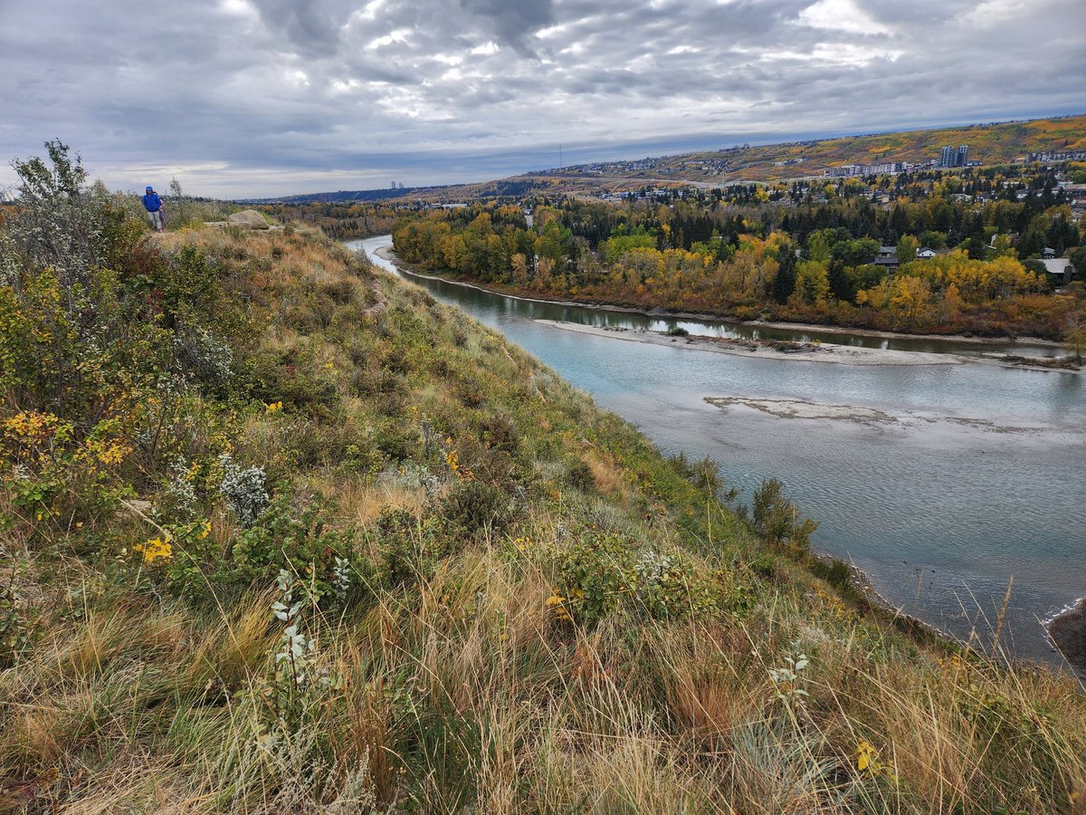 ser_wc's tweet image. Part 1 of our field trip today saw us through the Bowmont Slopes restoration site where we learned about the techniques of revegetating the sandy southern facing slopes in the area. We also heard about the challenges of balancing the public and ecology.
#restore #Restoration #yyc