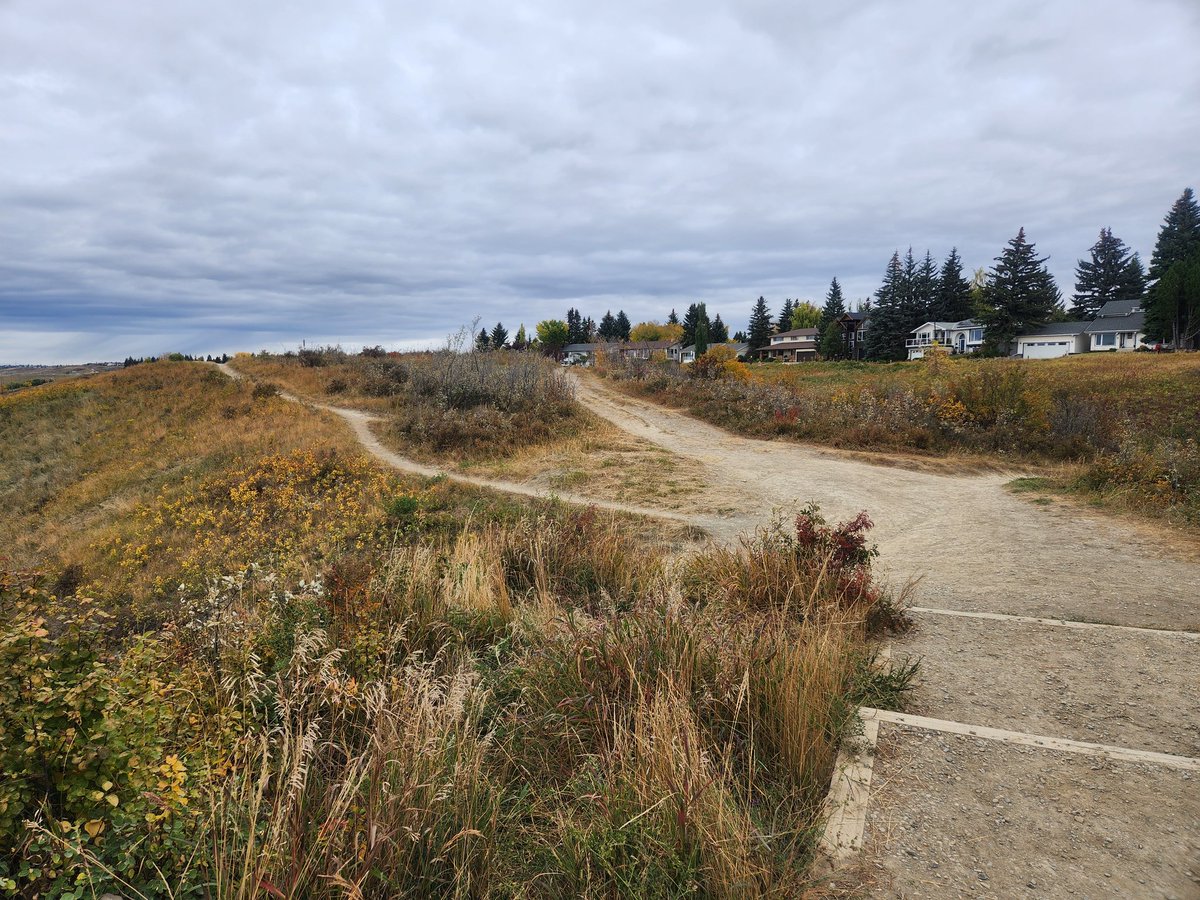 ser_wc's tweet image. Part 1 of our field trip today saw us through the Bowmont Slopes restoration site where we learned about the techniques of revegetating the sandy southern facing slopes in the area. We also heard about the challenges of balancing the public and ecology.
#restore #Restoration #yyc
