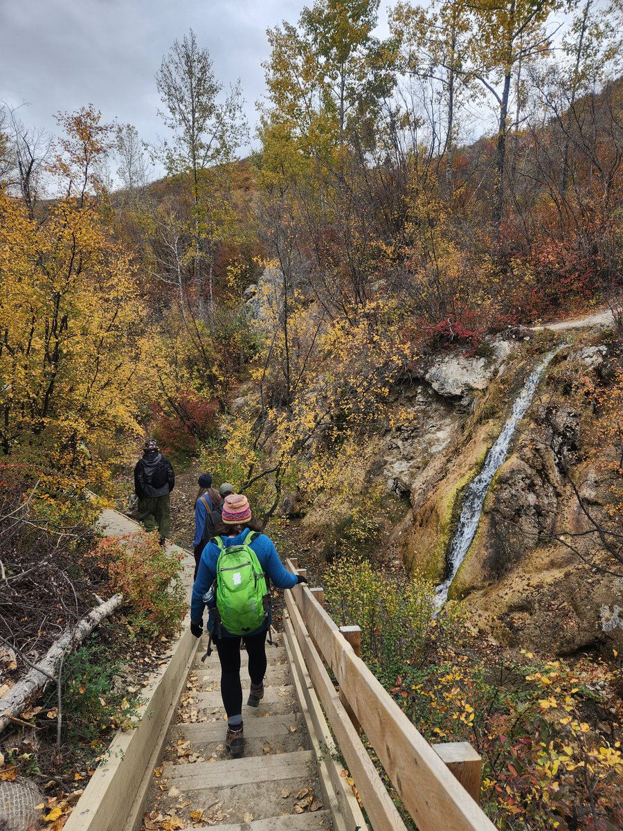ser_wc's tweet image. Part 1 of our field trip today saw us through the Bowmont Slopes restoration site where we learned about the techniques of revegetating the sandy southern facing slopes in the area. We also heard about the challenges of balancing the public and ecology.
#restore #Restoration #yyc