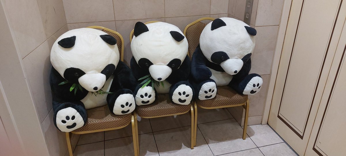 パンダのぬいぐるみ 中型 10003346_1.jpg