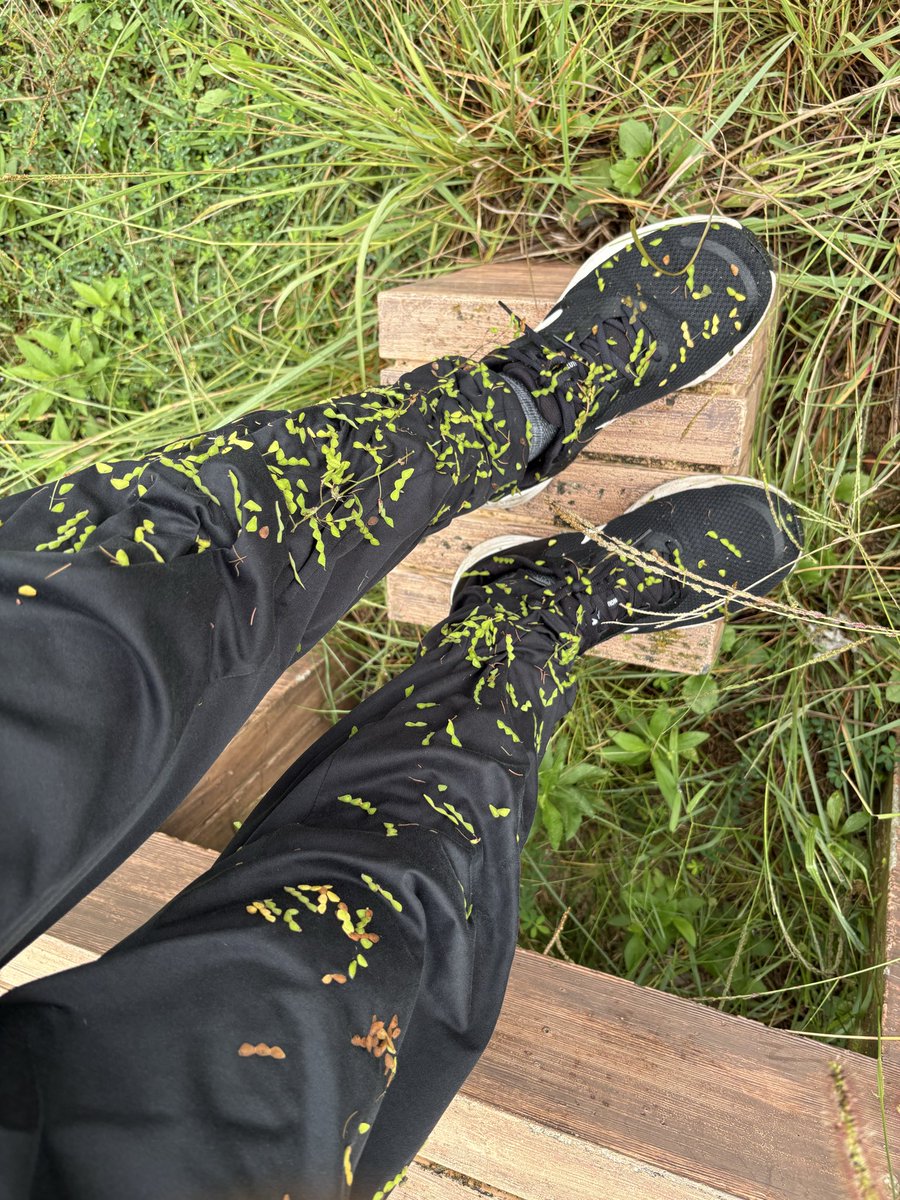 ひっつき虫にいいようにされすぎてる