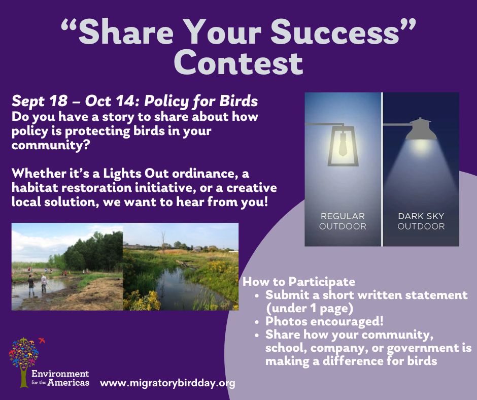 📣 #WMBD2025 Webinar &amp; Photo contest! On Thursday, 16 October, Environment for the Americas will host an exciting webinar, “Policy for Birds”, exploring the crucial role of policy in bird conservation.
🗓: Thursday, 16 October
⏰: 12 PM MT
🔗Registration: us06web.zoom.us/meeting/regist…