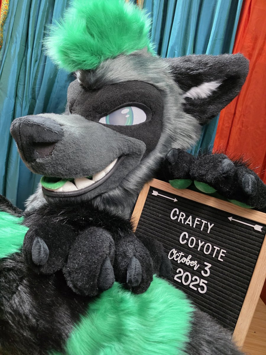New wolf/raccoon hybrid finished!
He will be causing mischeif at this BLFC!