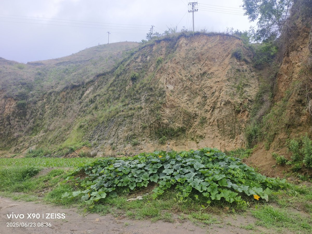 寻找 ＃攀枝花 颜值爆表的单男，不限年龄，身高，无门槛进入，不接受油腻肥胖，只有你颜值够，任你揉捏，任你调教，室内或户外想怎么玩就怎么玩。企鹅639719535，外地不加，不在攀枝花不加，卡颜值，请自重