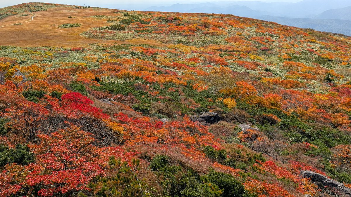 2025/10/04
栗駒山

ずっと行きたかった栗駒山
素晴らしい紅葉で1日中楽しめました🍁🍁🍁