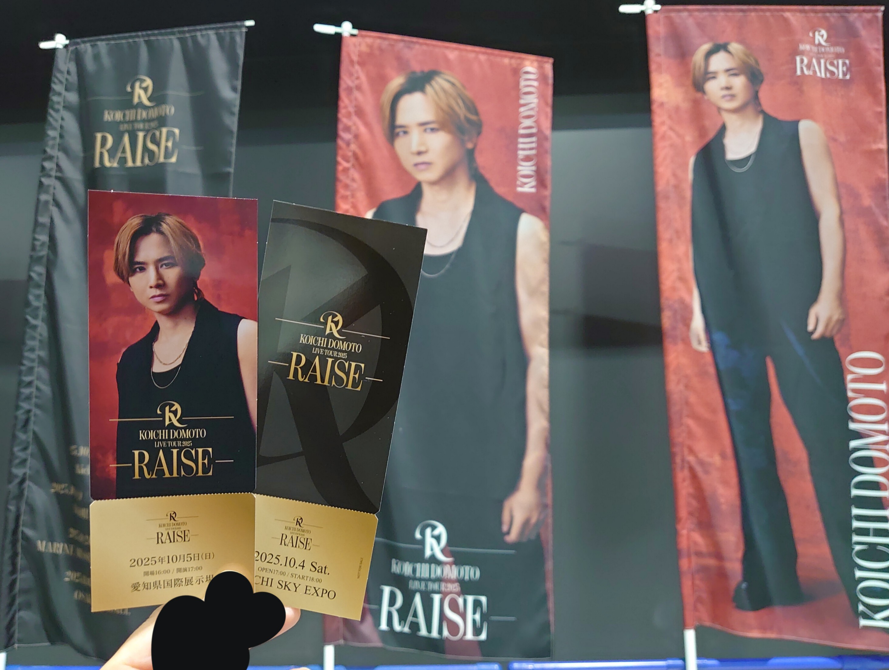 堂本光一RAISEペンライト 愛知公演メモリアルチケット 銀テ KOICHI