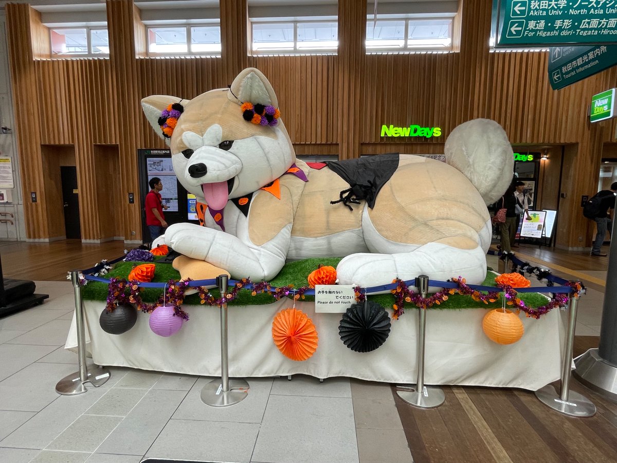 ぴーちゃん (@pchan_verK2) / X