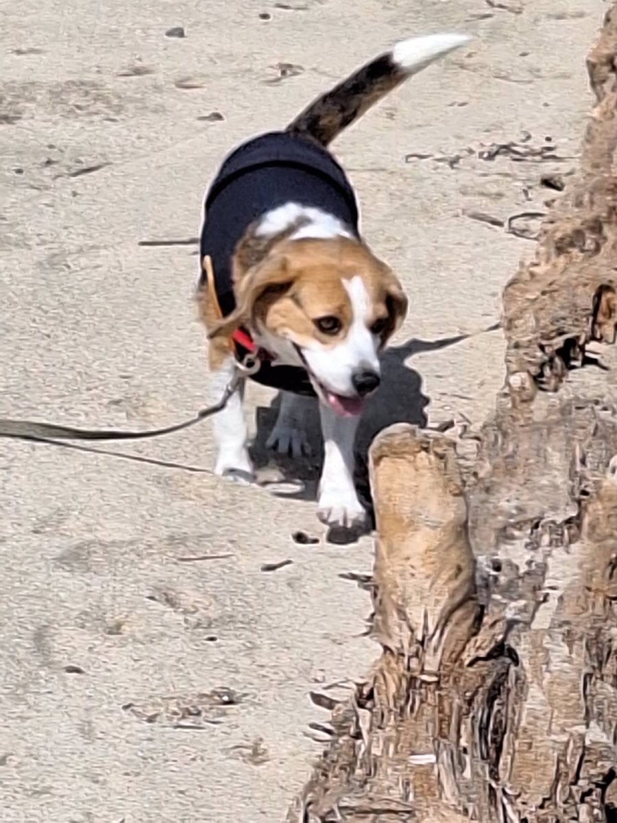 ご機嫌海散歩🎵