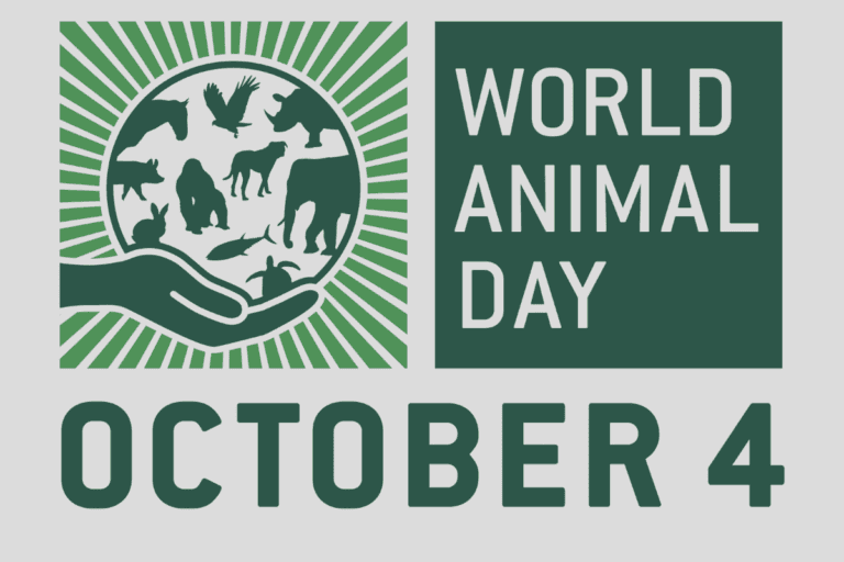 RwandaVets1's tweet photo. 1/3
Today marks #WorldAnimalDay,a global occasion to recognize the vital role #animals play in our lives and ecosystems. To commemorate this important event, Chairperson of the #RDVD joined #RAWO #RAB & fellow #vets & @MusanzeDistrict community, to celebrate this special day. https://t.co/LyNdQiRXfe