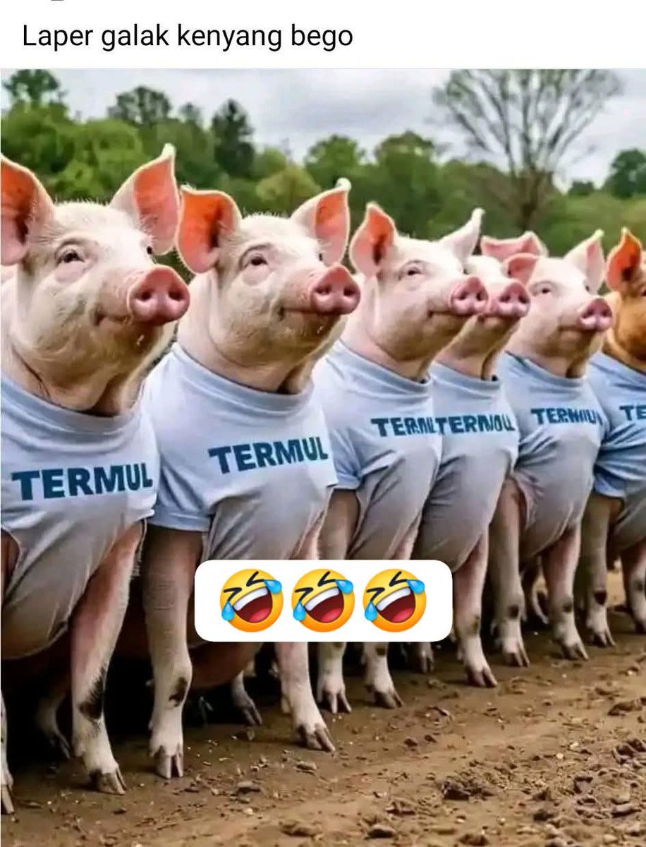 mas dein tweet media