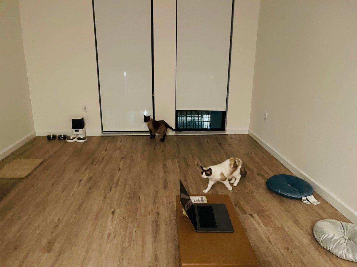 my_cat_can_code's tweet image. I closed one chapter a few days ago: my last day at Google. Half a year of incredible research, surrounded by brilliant colleagues, an experience I’ll always treasure and recommend. Big Tech is safe, and safe is good. But when you’re young, too much safety means missing something…
