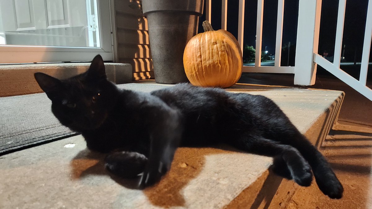 SoNotJames_'s tweet photo. He's chill as fuck https://t.co/y8Xe6EbA52