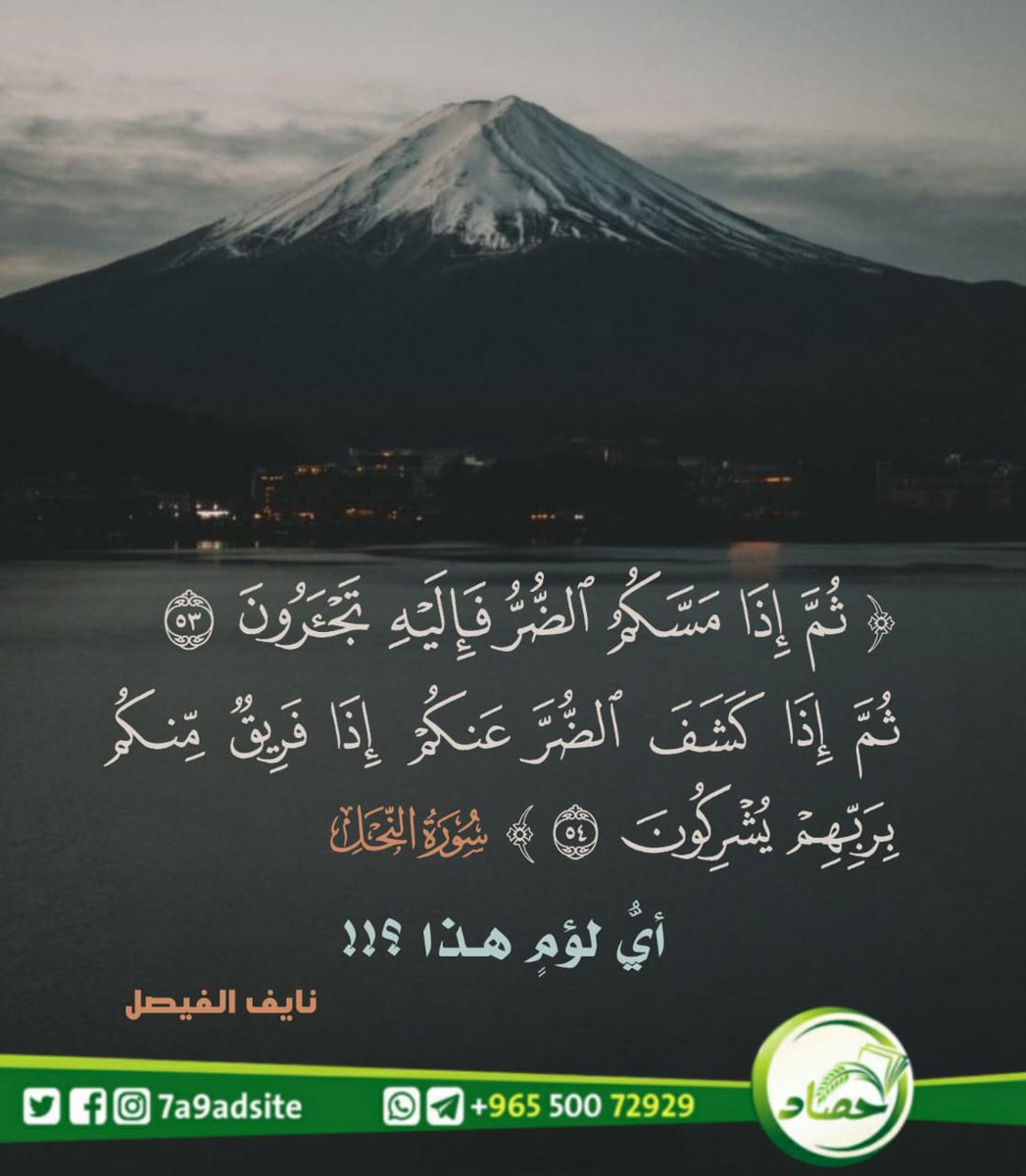 حصاد tweet media