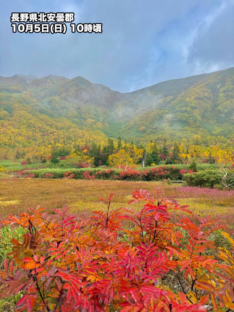 【各地で紅葉がスタート🍁】
北日本や中部山岳では紅葉が始まり、木々の色づきが進んでいます。9月以降の高温の影響で見頃は平年並みかやや遅い傾向です。
weathernews.jp/news/202510/05…