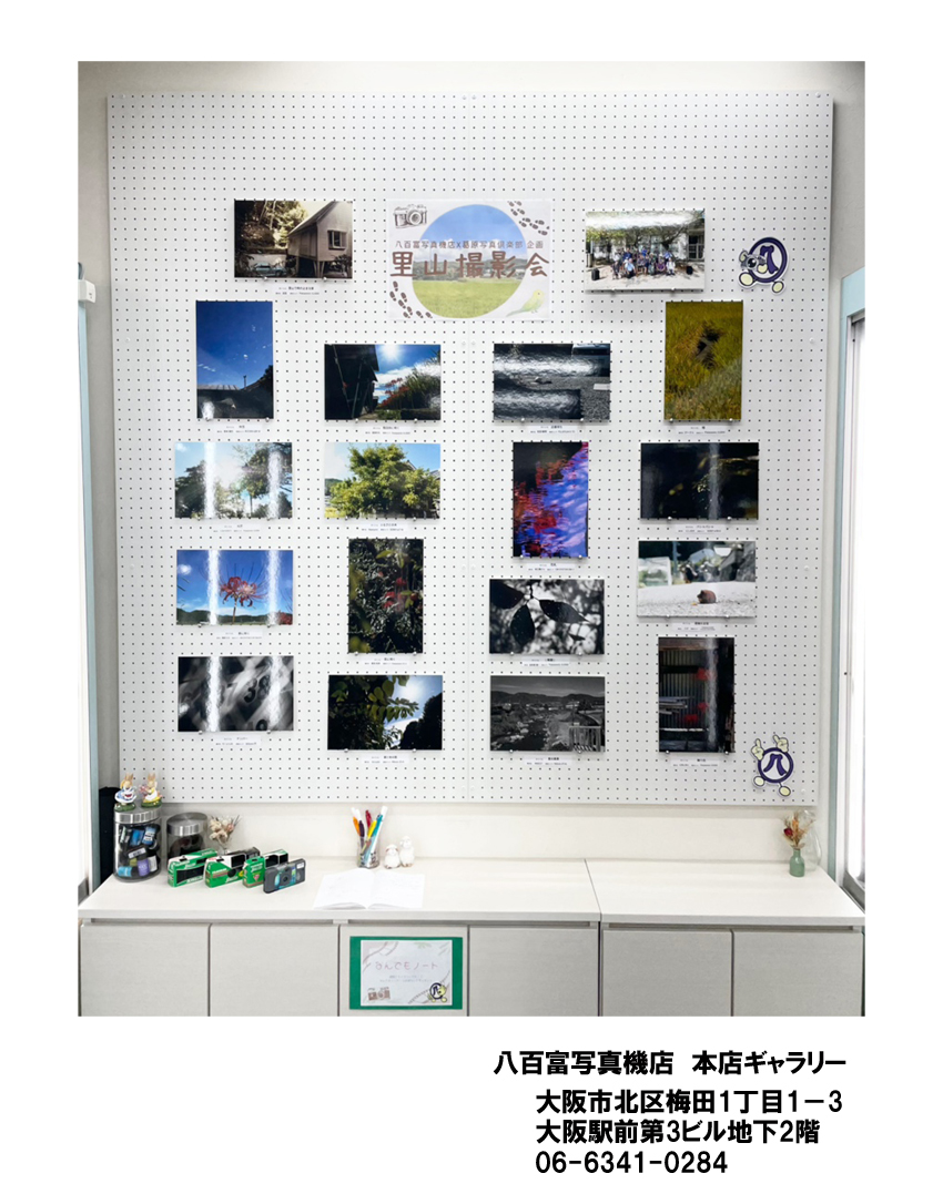 八百富写真機店 店舗公式 on X