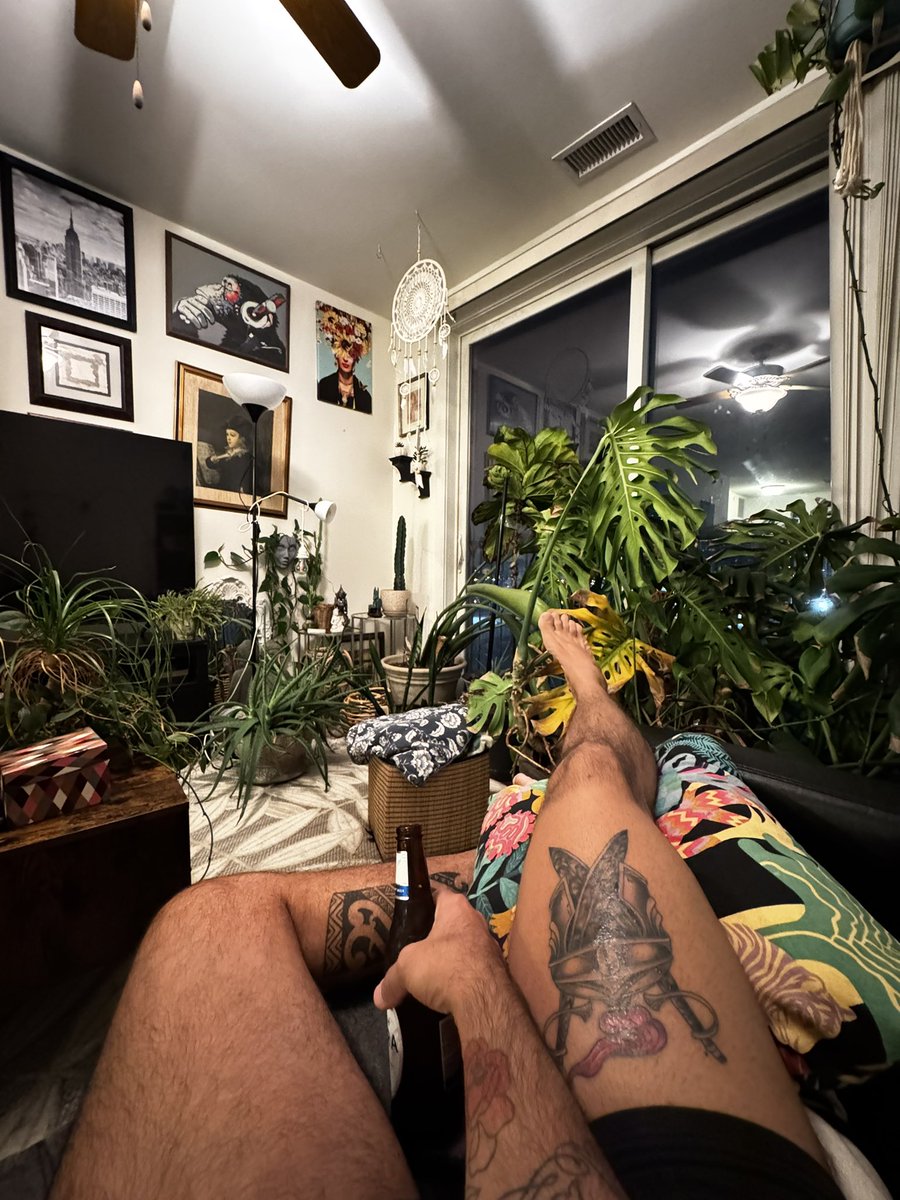 andreschavier's tweet photo. Welcome to my jungle! https://t.co/WmgpMrmrrj