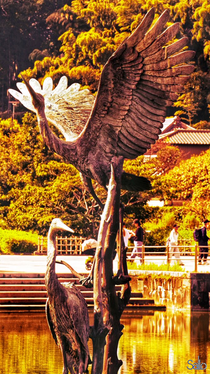 Sai10QuestUser's tweet image. #Nikon #Zfc #Sai10_RealPic