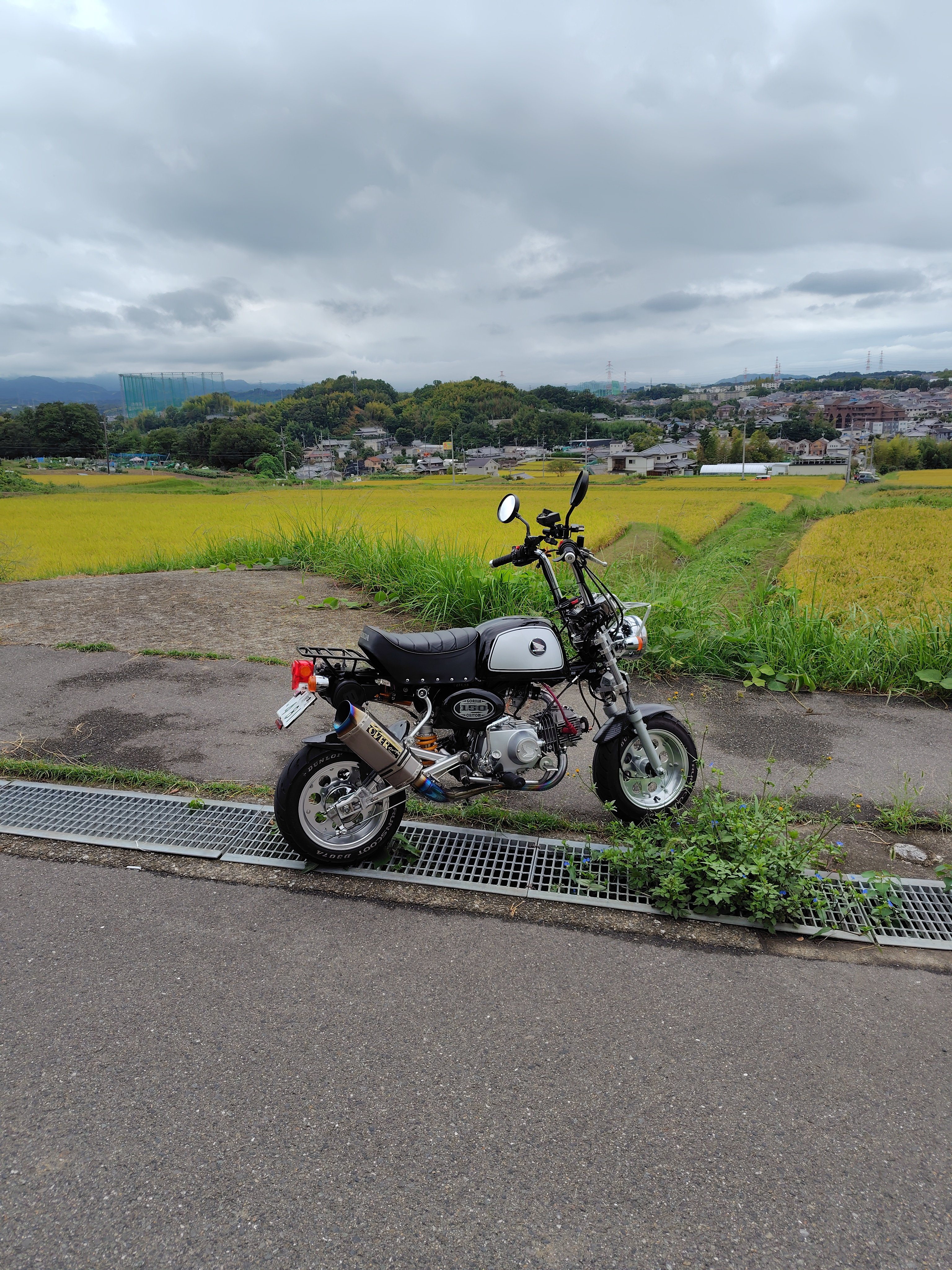 みぃすけさま エクストラパック 第44弾 ゼクスターズ・プリンシパル ｜ Z/X