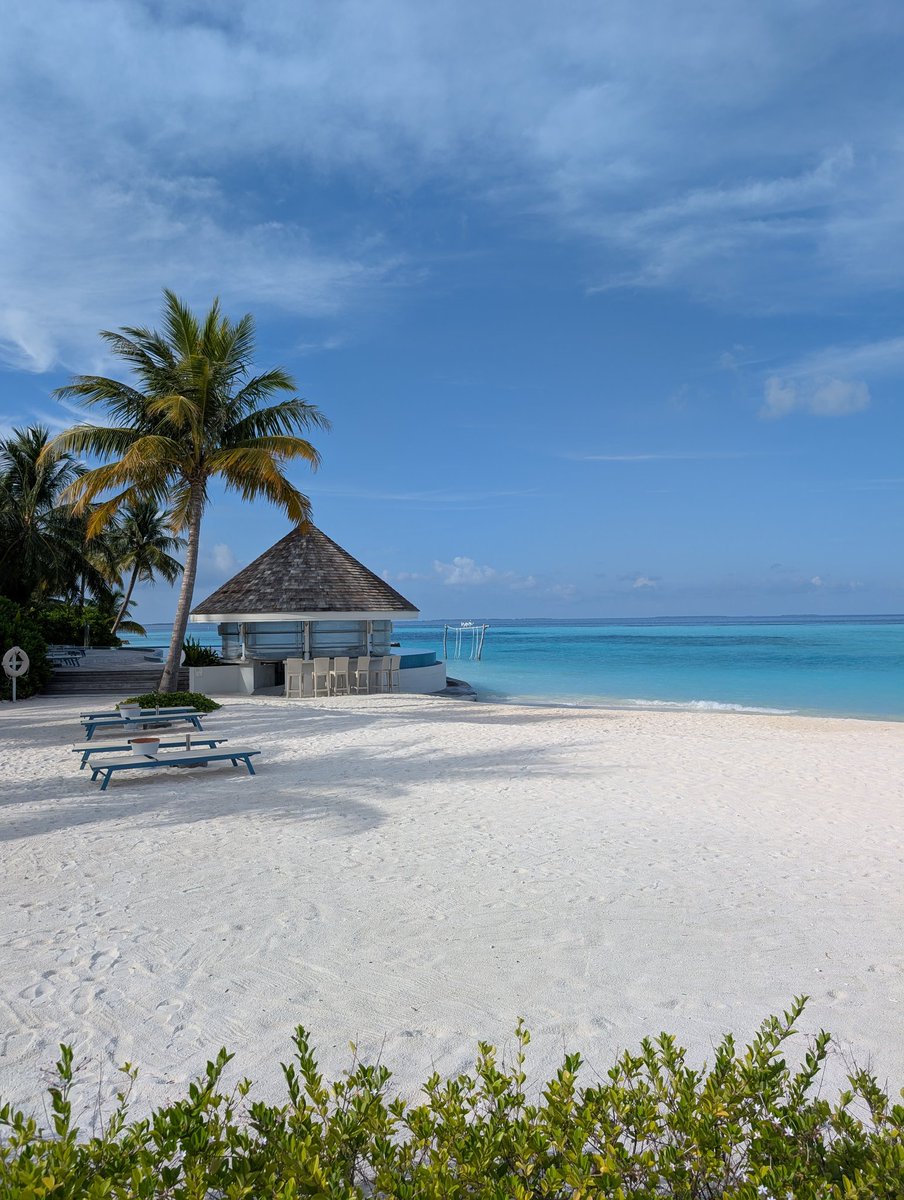 muradh's tweet photo. Good morning 🌞 @NovaMaldives #Maldives https://t.co/wCcATjzjLq