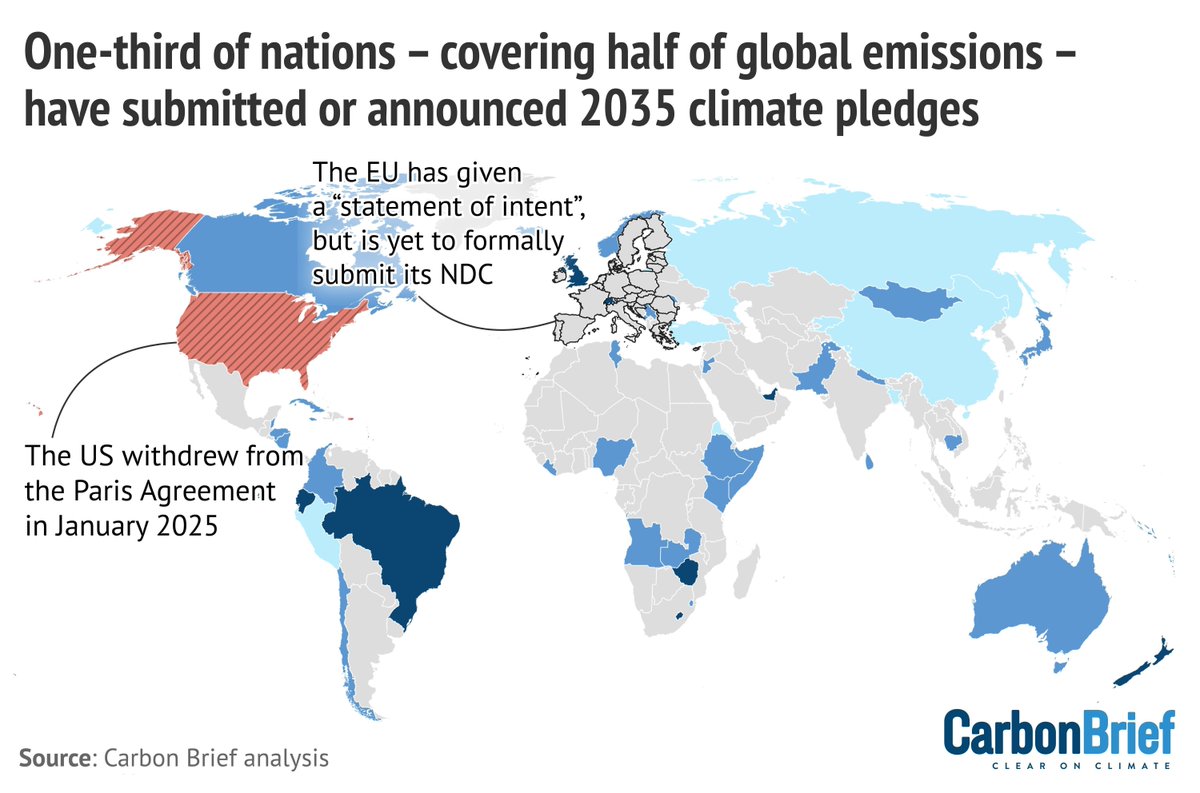 Carbon Brief tweet media