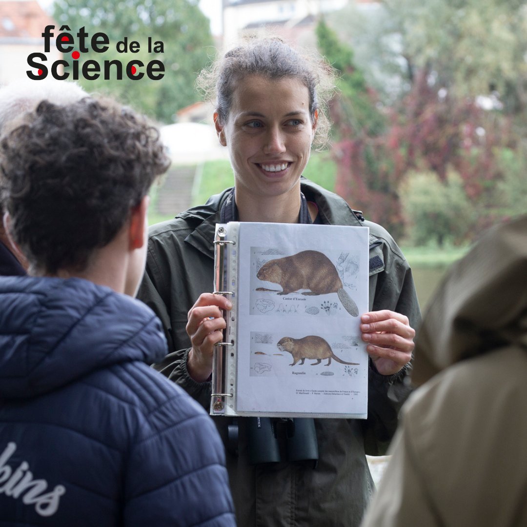 FeteScienceAura's tweet photo. 🎪 #FDS2025 Hier, nous étions au Village des Sciences de Moulins !
Au programme : balade et découverte du patrimoine naturel avec @LPOAuvergne ou encore construction d'un nid d'hirondelles.

Retour en photos sur cette journée auvergnate de la @FeteScience !

📸 : Visée.A https://t.co/EAqcp0mHDU