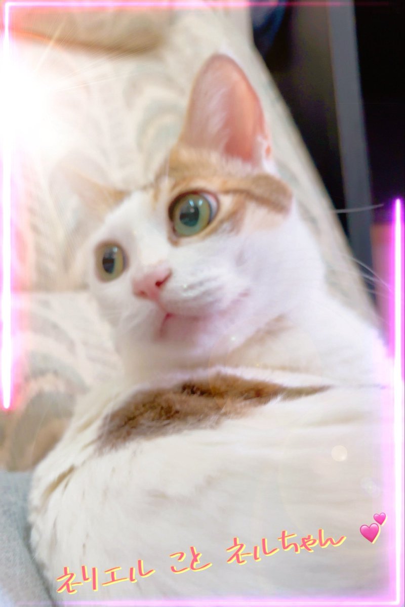 あんどわん tweet media