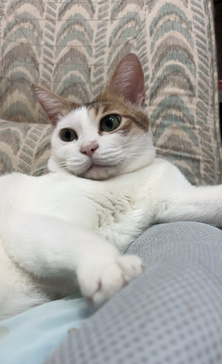 あんどわん tweet media