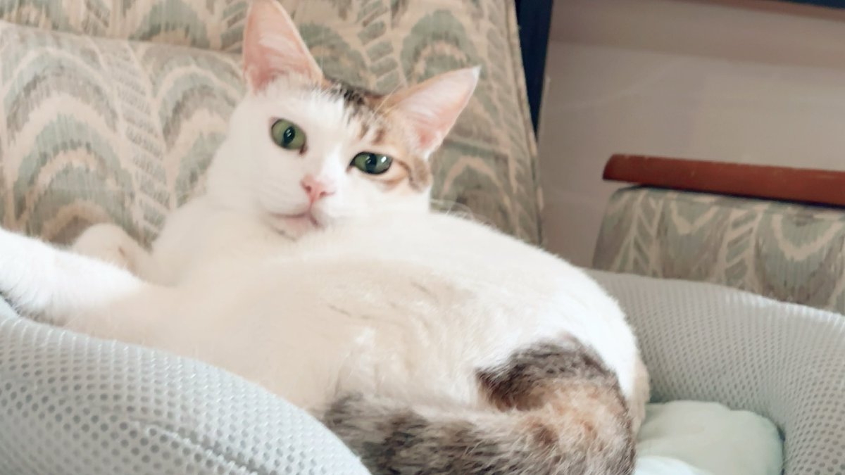 あんどわん tweet media