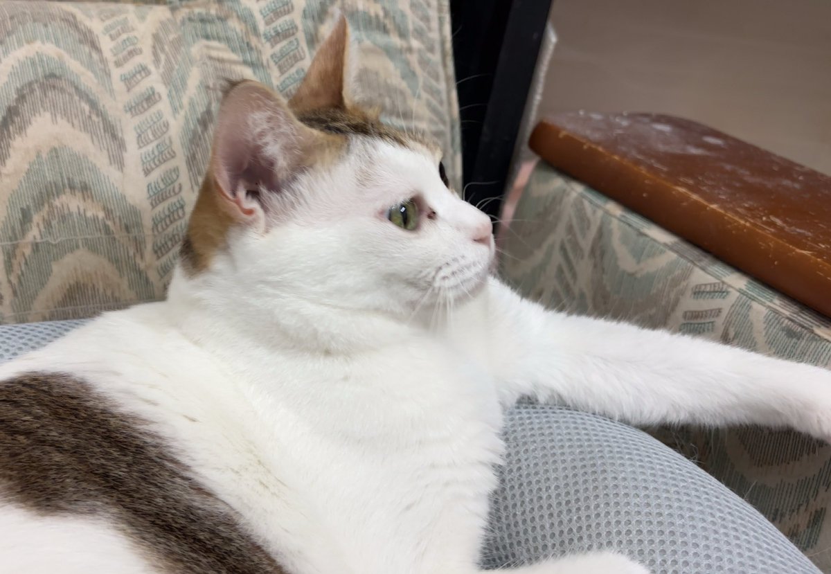 あんどわん tweet media