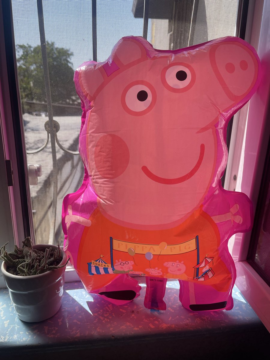 xamirca's tweet photo. Mənim 30, bu piggynin 3 yaşı tamam oldu. Papam təkər havasıyla elə doldutdurub ki, hələ bir 3il də bizlədi deyəsən) https://t.co/IpTzidapEJ