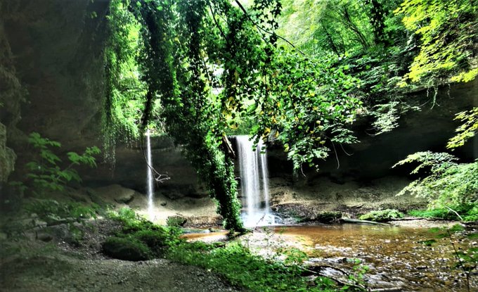 Oxygen is released into the atmosphere during photosynthesis. At night, some is consumed again by the tree. But the tree releases more oxygen than it needs itself. Deciduous forests release 15 to./year/ha of oxygen, coniferous forests up to 30 to./year/ha into the atmosphere.🌳🌲