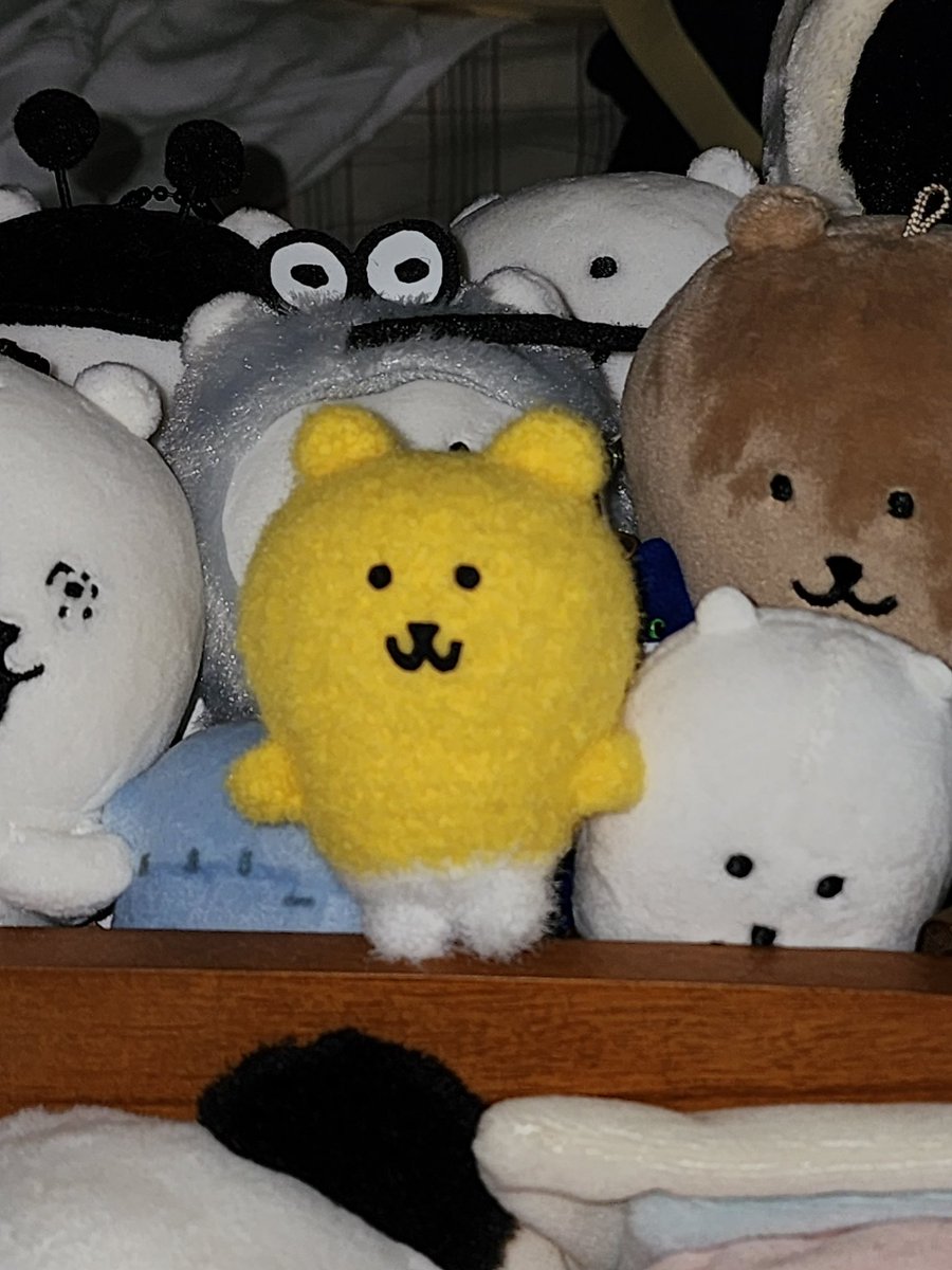 어두컴컴이 옥쓔곰🌽