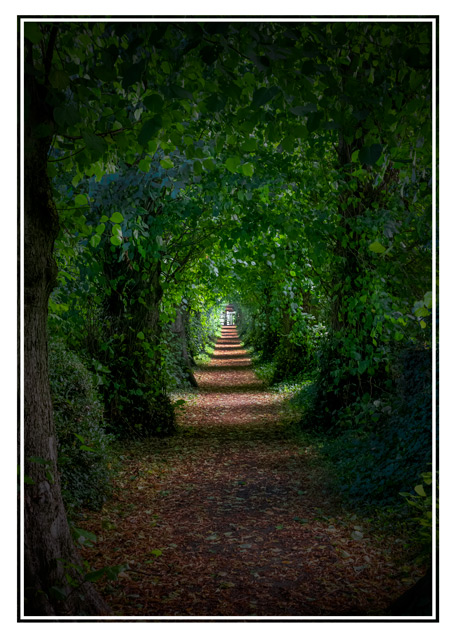 photos_dsmith's tweet image. a #walkway through the #beautiful #village of #GreatBudworth in #Cheshire. The #trees line the #path into the #centre of the village. #NaturalBeauty #treelined #villagelife #northwest #enchanted. Follow @photos_dsmith or at darrensmith.org.uk for more information.