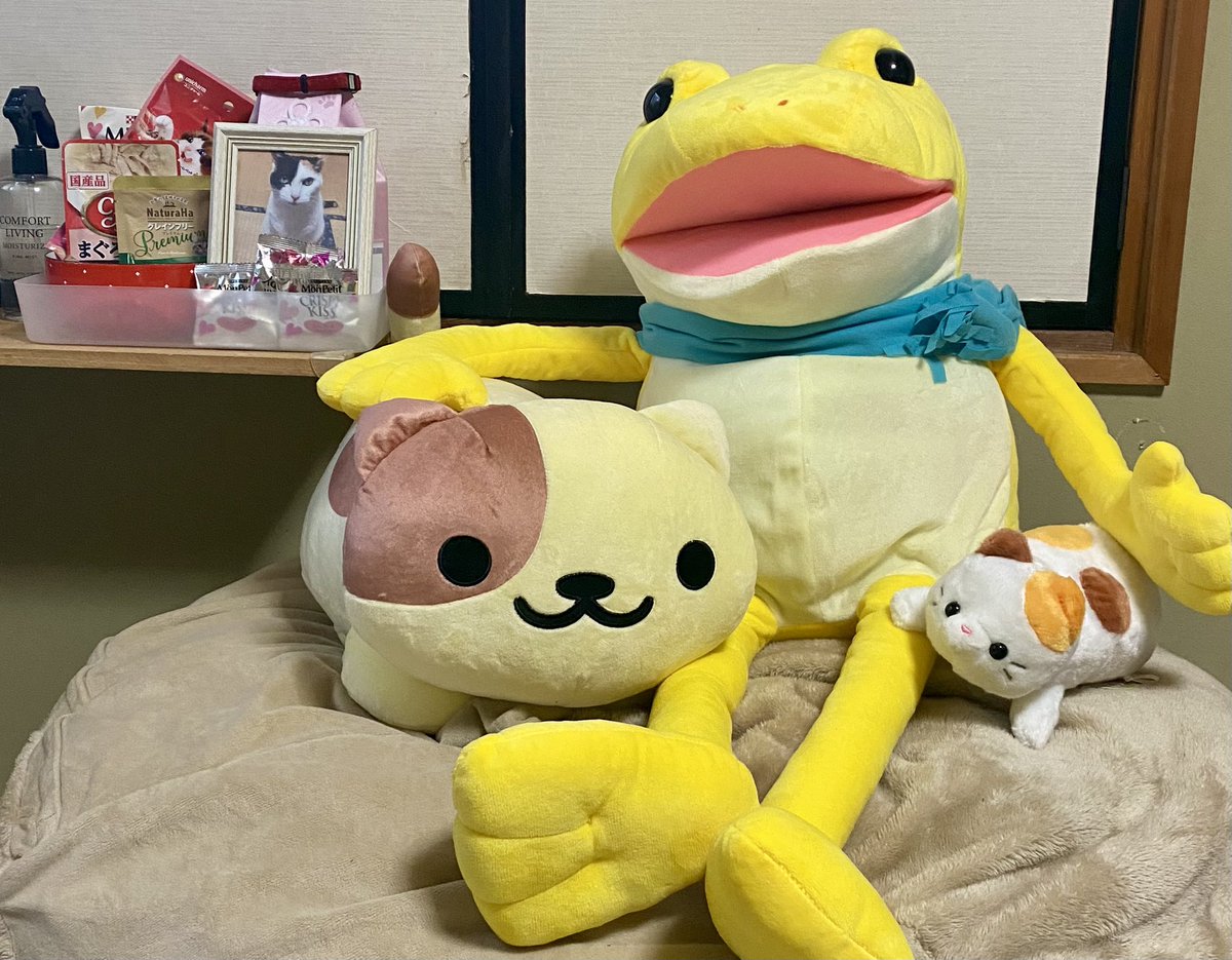 ひびきはじめ時々ミケちゃんR on X: 