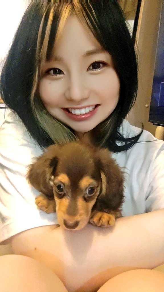 【あーやʕ•ᴥ•ʔ】 Qawsedrftgyhujikolp - Single - Album by turn a studio