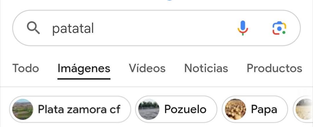 farolasSSS's tweet image. pero esta gente con quien coño ha empatado, me refiero que acabo de buscar patatal en google y me acaba de salir su estadio