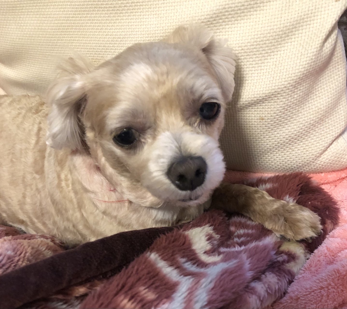 のんちゃん。お願いします♡ 今日ののんちゃん - Search / X