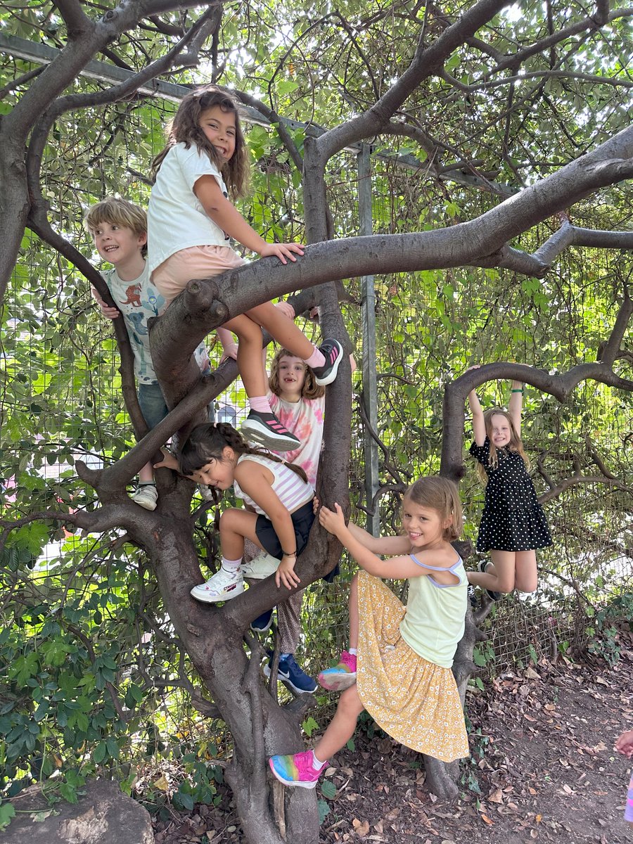 Selco Builders Warehouse tweet media